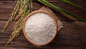 دی چیست: تاریخچه، ویژگی‌ها، کاربردها و راهکارهای نگهداری