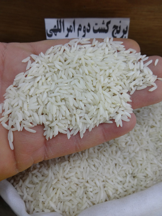 برنج امراللهی فریدونکنار 10 کیلویی آنا برنج - نمای بستهبندی